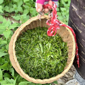 133 想要完美旅游体验?拜托先做好旅游攻略 feat. 夕颜热水