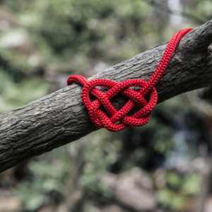 #390 该如何结束一段关系｜The Neighborhood