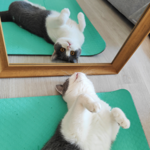 E05 都说要好好爱自己,但究竟怎样才是爱自己?