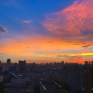 蝉与蝉,人与人,沙拉与麻辣烫,在夏天遇见