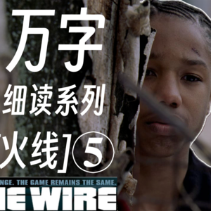 ⑤"最伟大美剧"[火线]the wire 万字细读