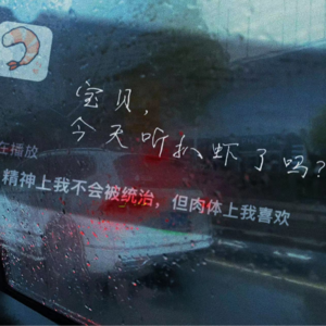 30 精神上我不会被统治，但肉体上我喜欢