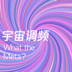 ep.00 What the Meta试播