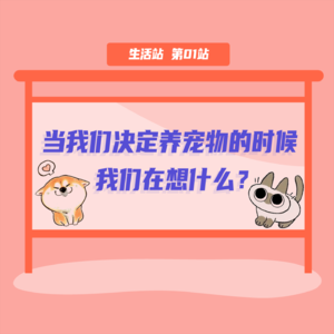 生活站01 当我们决定养宠物的时候,我们在想什么?