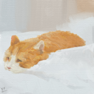 播客联动：播客公社年度书单 | 第81期读书会