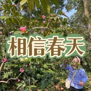 040 |养花和养孩子有什么关系