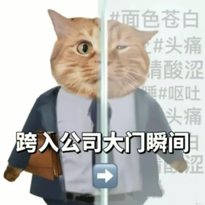 05 《年会不能停》大厂血泪:我们需要标准的社畜生存指南!