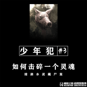 vol.28 少年犯（三）如何击碎一个灵魂 绫濑水泥藏尸案