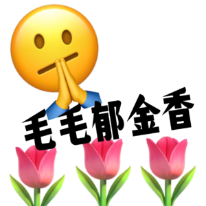 毛毛郁金香067