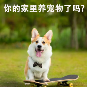 你的家里养宠物了吗? Do you have any pets at home?
