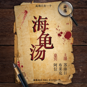 一起来玩海龟汤