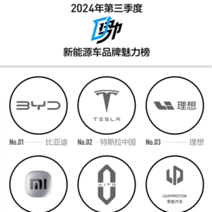 新能源销量超油车，谁是2024新能源车“品牌王”？| 周末会客听