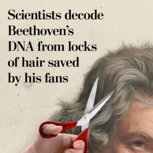 E765 200年后，贝多芬的死因终于真相大白