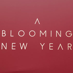 E08 有没有目标，都不耽误你过好新的一年～