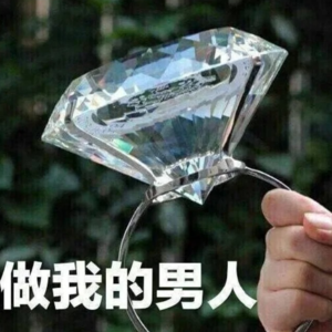 31. 追星心得：只要赛博老公换得够快，塌房就追不上我