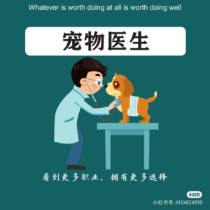 Ep043 【我认识的100个女孩-007】预备宠医雨子女士