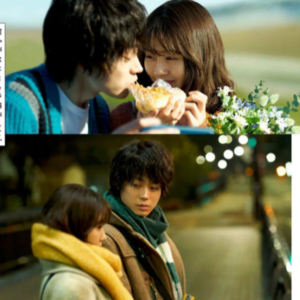 【No.14 花束般的恋爱】文青谈个恋爱为啥那么难？