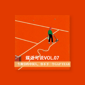 vol.07 一生勤劳的中国人，容不下一个gap year