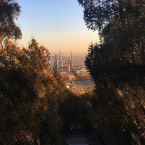 鬼台第404期：Зшeet Хом