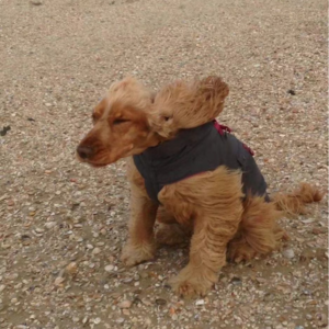 Vol.12 嘉宾来了丨一线城市饮食男女,为什么给爱情按下暂停键?