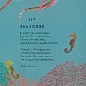 【为你读诗】day 19：Seahorse