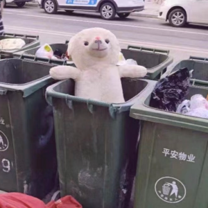 S2E7 since when公鸡可以被称为景点