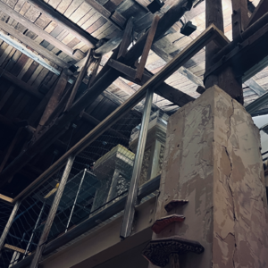 寥聊 #079 乍暖还寒，放虎归山