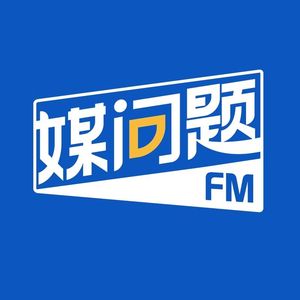 媒问题FM