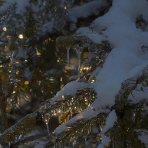 C-BACK第二期【雪】