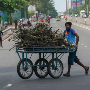 斯里兰卡暴乱，我们还能去斯里兰卡旅游吗？