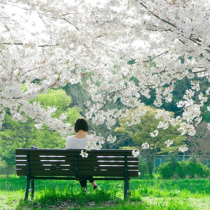 EP16. 争论，脑洞，我的男人——新年之后的推理小结.feat《方舟》推荐