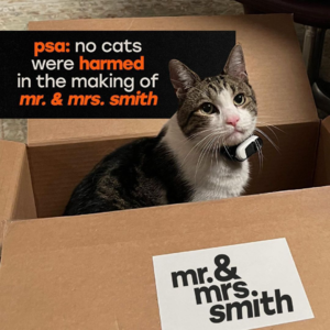 94. 开年惊喜《史密斯夫妇》的正确打开方式