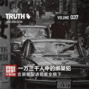 37 一万三千人中的绑架犯，吉展绑架诱拐案全貌（下）