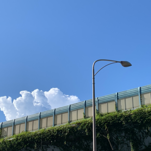 vol.13 | 请在16号转发——