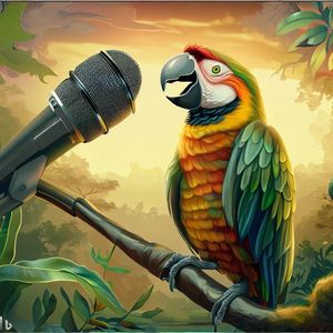 教鹦鹉说话的秘诀：让你的鸟儿变成聊天达人