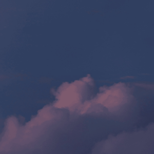 04 爱植与星辰：献给卡尔维诺的散文诗