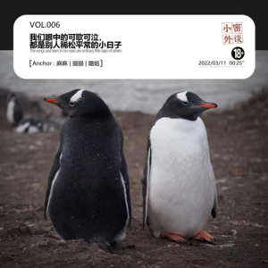 vol.007我们眼中的可歌可泣，都是别人稀松平常的小日子
