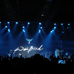 095. 无论如何，这些歌今年占满了我的心