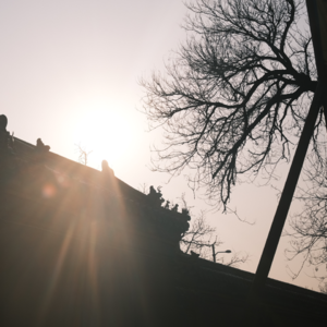 特刊·郑大圣:在摄影机后,等待遇合,期待勇气