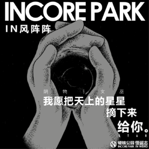 vol.260 IN风阵阵 我愿把天上的星星摘给你