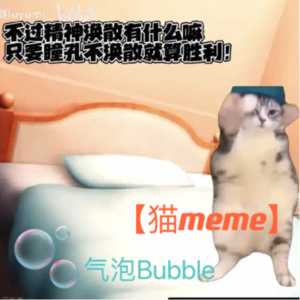 34.【猫meme】猫好，人坏！猫meme如何成为我们的赛博病例