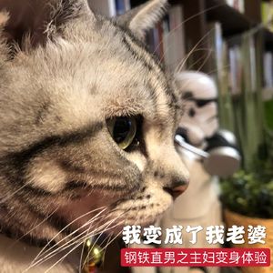 女子攻略：钢铁直男之魔幻体验！我变成了我老婆