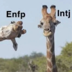 人类行为观察者上线_你的MBTI是什么？ | 画饼匠人Vol.01