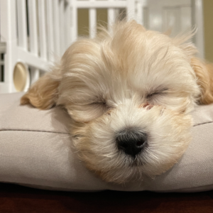 EP 14 ｜ 献给春天跟孔子的爵士乐