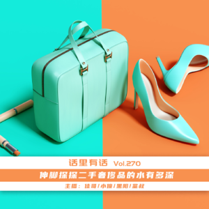 伸脚探探二手奢侈品的水有多深【话里有话vol-270】