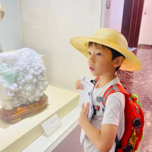 001-小狗的小房子：共同的经历造就真正的情谊