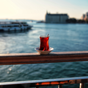 19. 春日邂逅:抛开工具理性,时间会回馈热爱与坚守