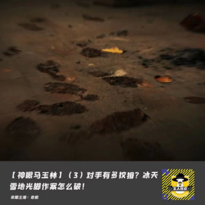 【国内神探马玉林】（3）35岁就不能考编了，他凭什么53岁破格当警察？
