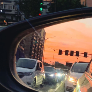 鸵鸟一定会长寿