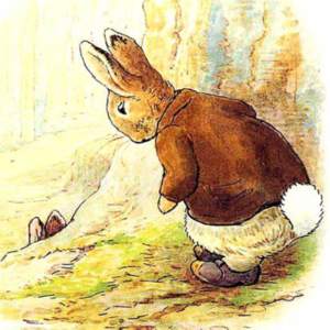 小兔子本杰明的故事2|The Scarecrow